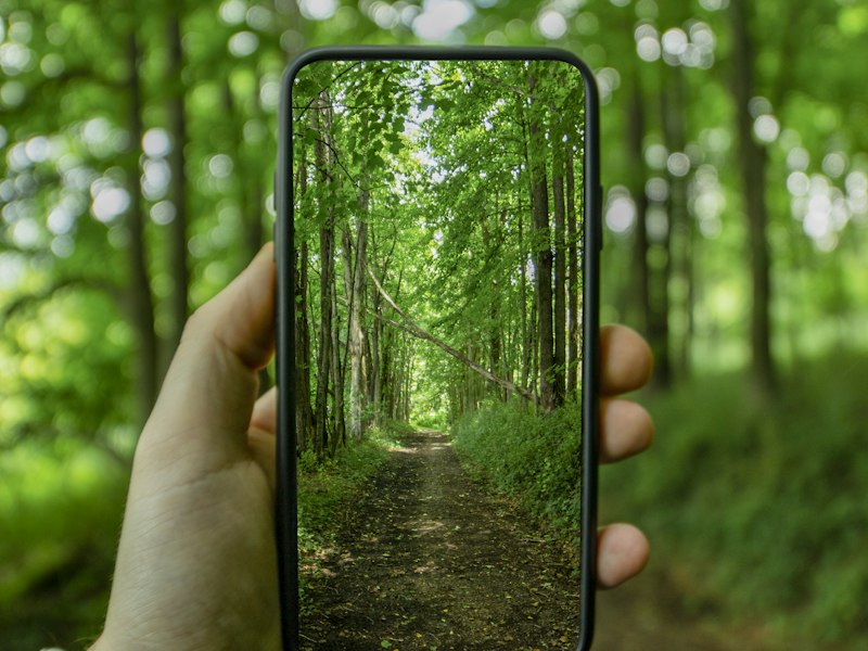 What I Learned From a Month of Digital Detox Evenings